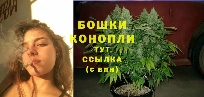 Конопля SATIVA & INDICA  купить закладку  гидра вход  Подольск 